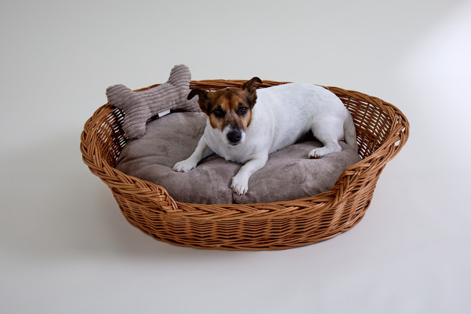 Panier Rond Diego en Osier - Vintage