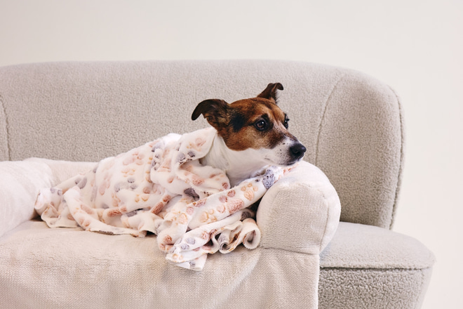 Panier Canapé Lara - Beige