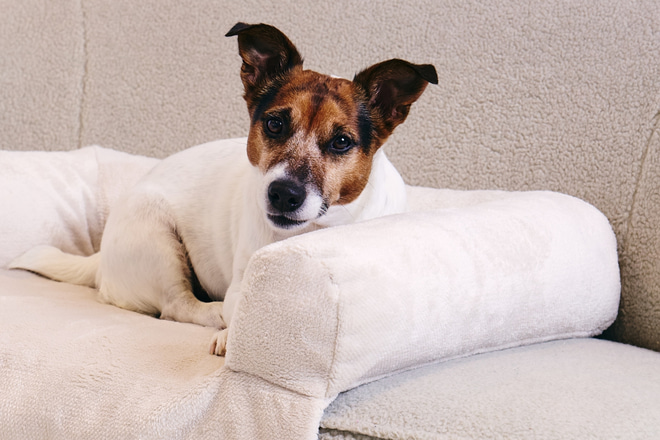 Panier Canapé Lara - Beige