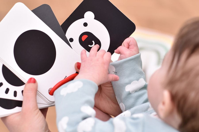 High Contrast Flash Cards 0+