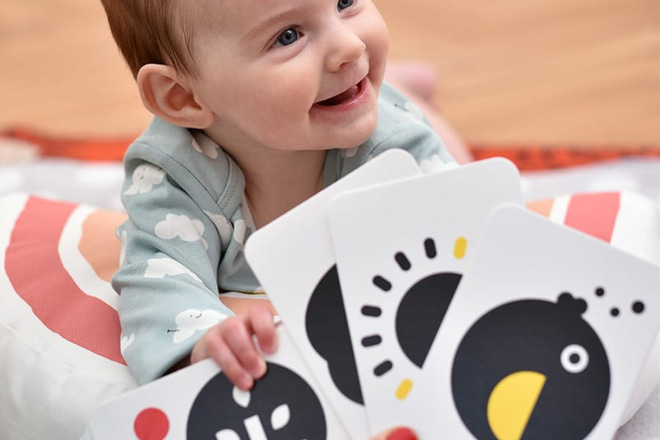 High Contrast Flash Cards 0+