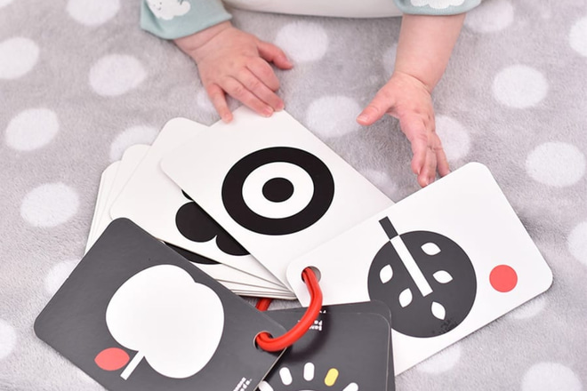 Carte Flash à Contraste Élevé 0+