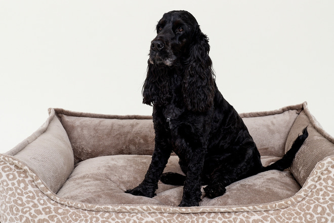 Panier Rectangle Coco - Léopard Beige