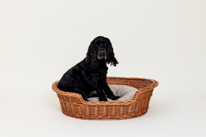 Cesta Redonda Diego de Mimbre – Vintage