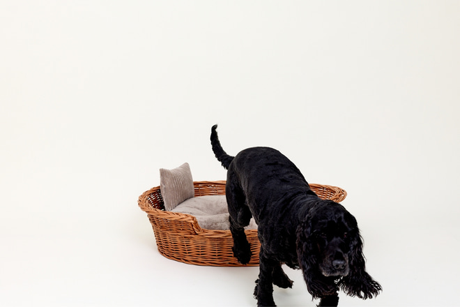 Cesto Redondo Diego em Vime – Vintage