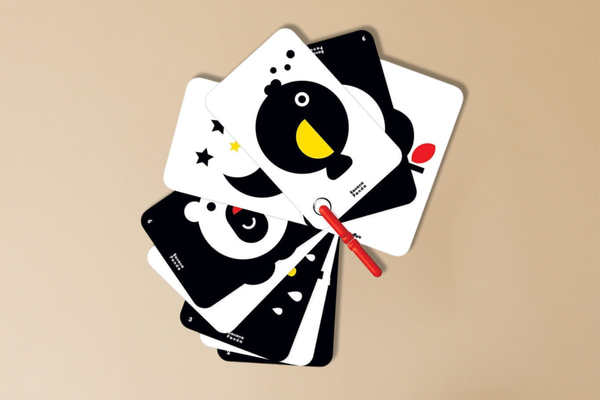 Carte Flash à Contraste Élevé 0+
