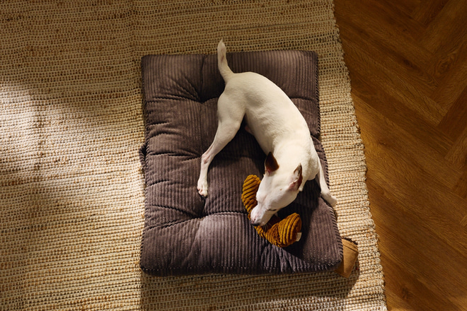 Matelas en Velours Côtelé - Graphite