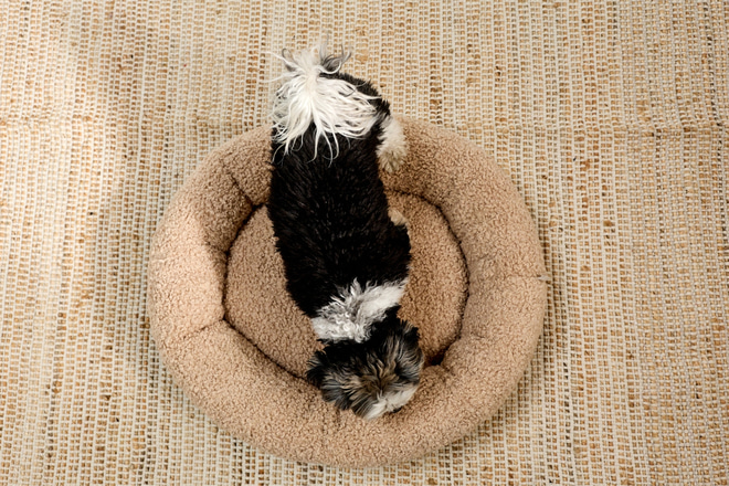 Cesta Redonda Mia Bouclé – Latte