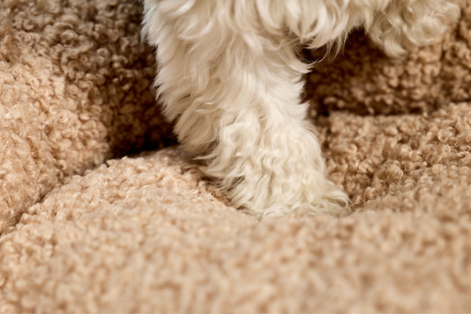 Mia Rundes Bouclé-Körbchen – Latte