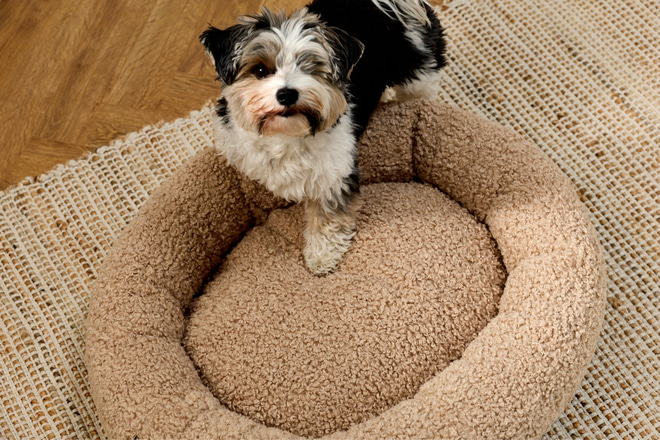 Mia Round Bouclé Basket – Latte