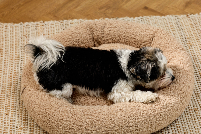 Mia Round Bouclé Basket – Latte