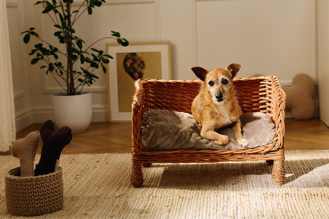 Henri Rectangular Wicker Armchair – Vintage