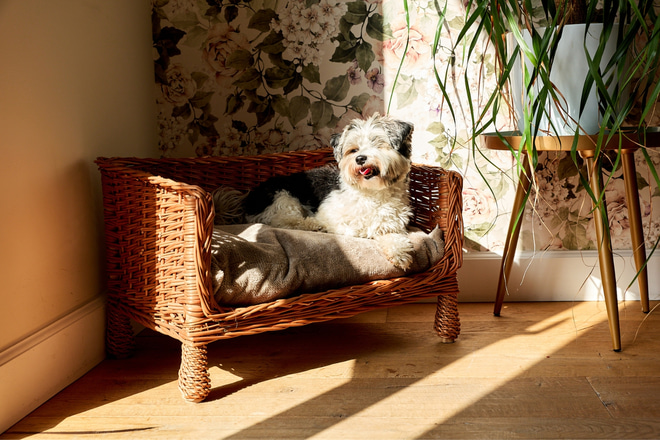 Henri Rectangular Wicker Armchair – Vintage