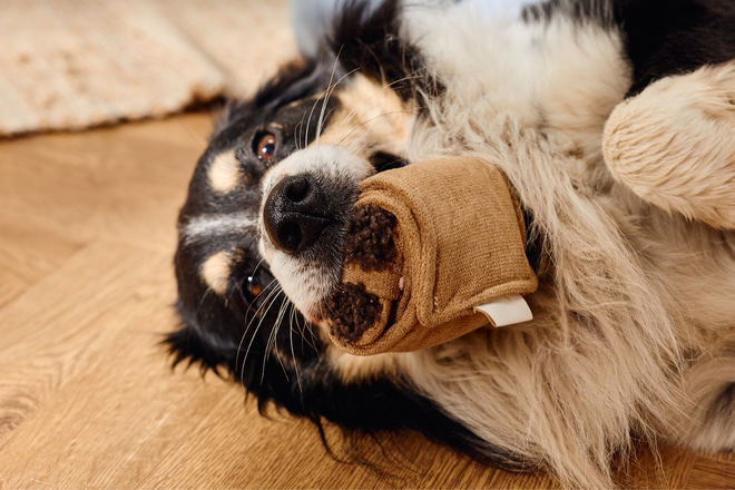 Nascondiglio per Snack – Chocolatine