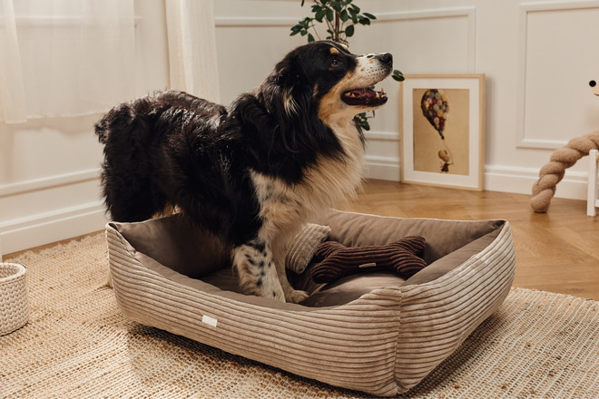 Cesta Rectangular Molly de Terciopelo Acanalado – Taupe