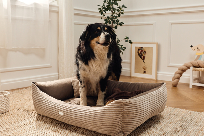 Molly Rectangular Corduroy Basket – Taupe