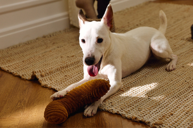 Treat Holder – Croissant