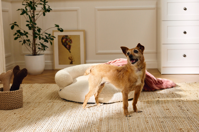 Jeff Round Bouclé Basket – Ecru