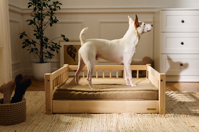 Lit Brasilia pour Animaux