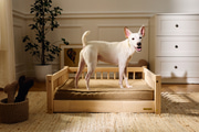 Lit Brasilia pour Animaux - S