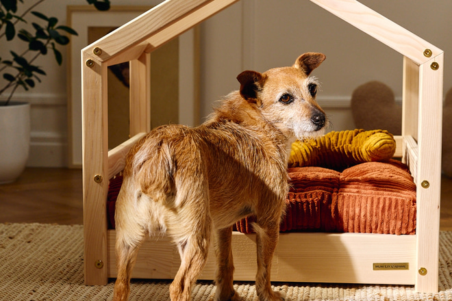 Lit Cabane DP pour Animaux - S