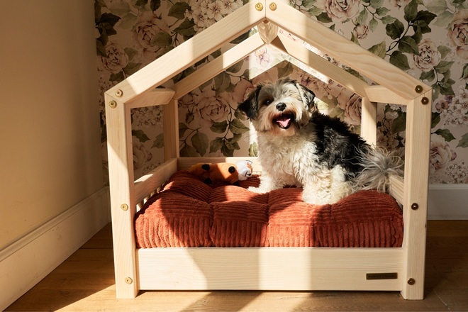 Lit Cabane DP pour Animaux - S