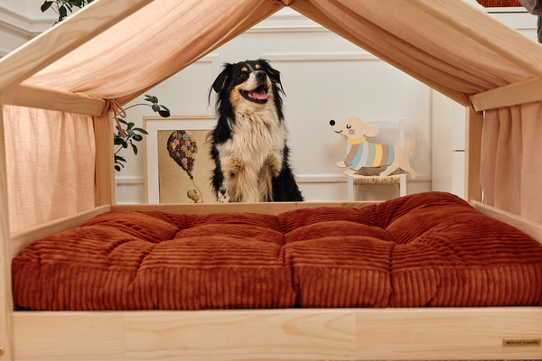 Cama Cabana DP para Animais - S