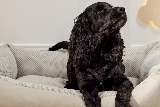 Cesto Premium Rettangolare Théo – Beige