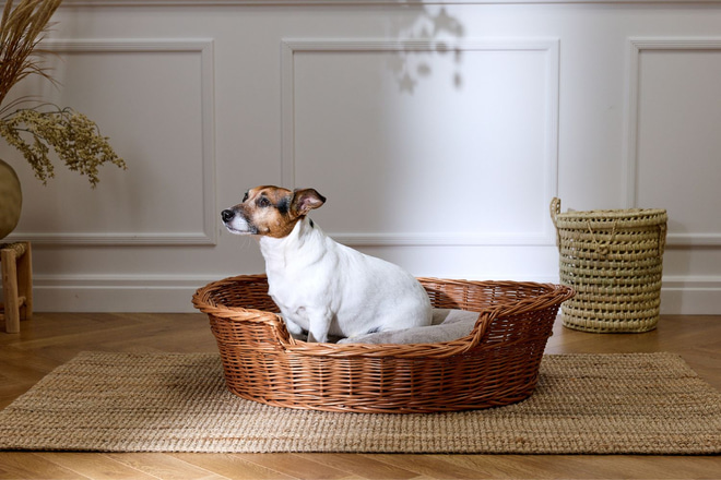 Diego Round Wicker Basket – Vintage