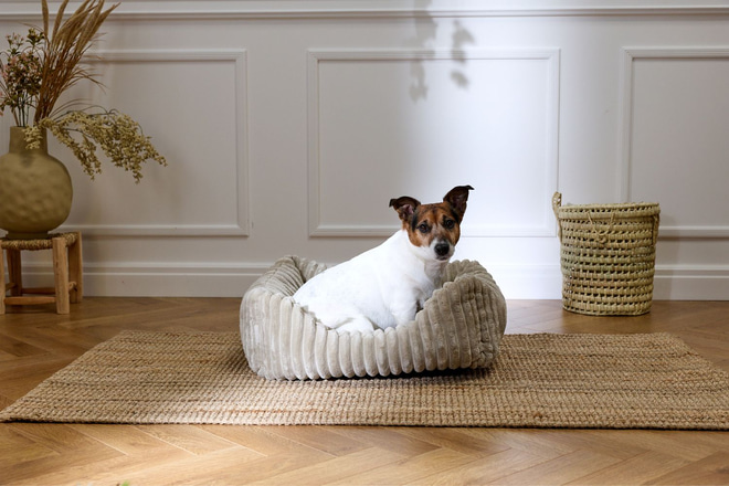 Bella Corduroy Velvet Basket – Beige