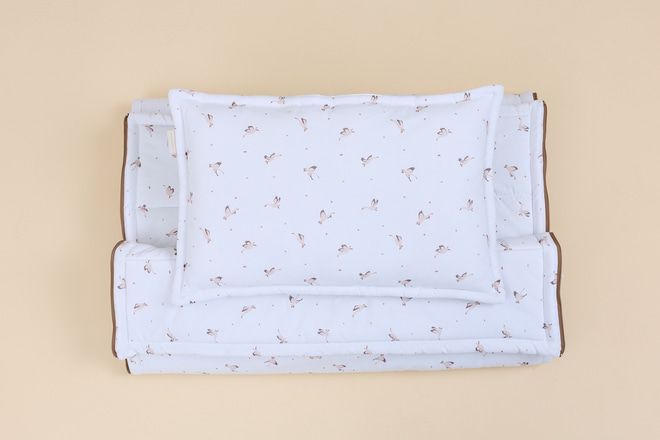 Sleeping Bag & Pillow - Goose