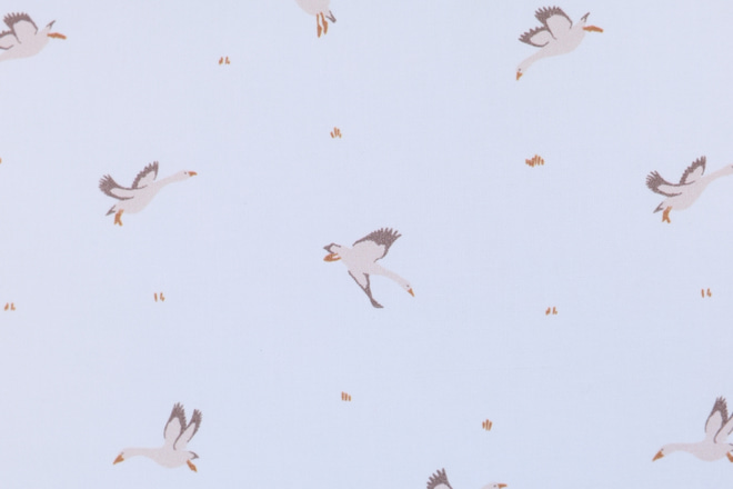 Sac de Couchage & Oreiller - Goose