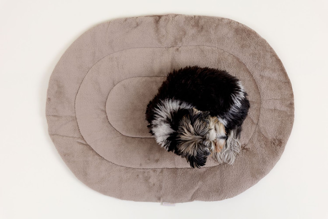 Reisematte aus Samt für Hunde