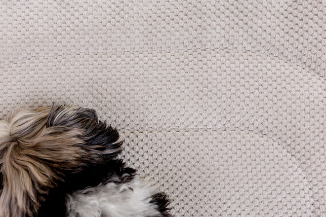 copy ofVelvet travel mat for dogs