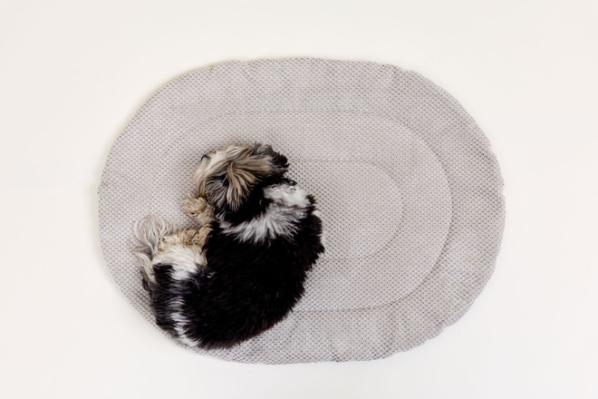 copy ofReisematte aus Samt für Hunde