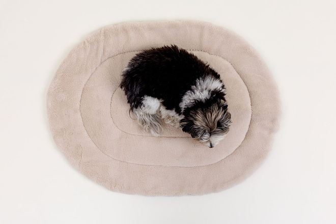 Beige Velvet travel mat for dogs
