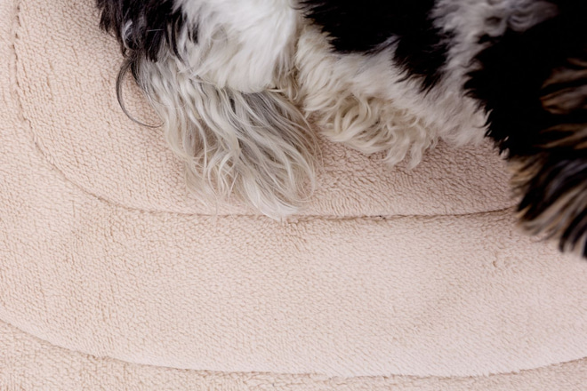 Reisematte aus Samt für Hunde - Beige