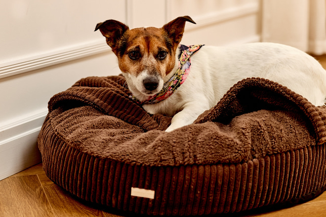 Kulaté psí lehátko Vigo - Čokoládová