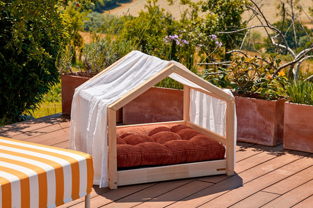 Dog House Bed Canopy - White with gold polka dots