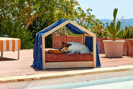 Telo per Letto Casetta per Cane - Blu con stelle dorate