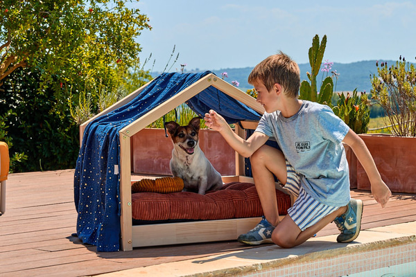 Dog House Bed Canopy - Blue with gold stars