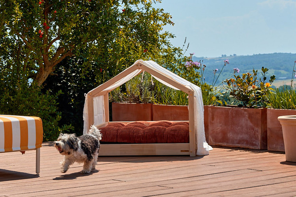 Dog House Bed Canopy - White with gold polka dots