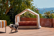 Dog House Bed Canopy - White with gold polka dots