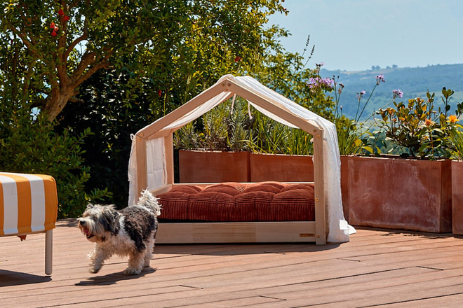 Dog House Bed Canopy - White with gold polka dots