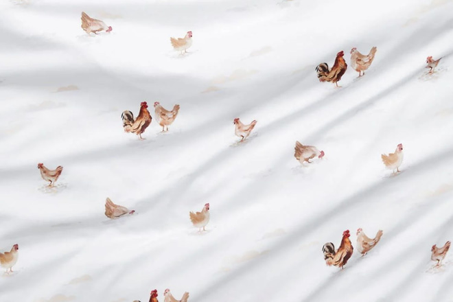 Parure Satin de Coton 140x200 - Poules