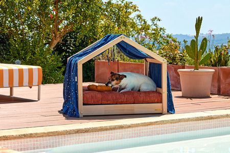 Toile de Lit Cabane pour Chien - Bleu Etoiles Dorées