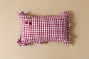 Coussin à Carreaux Cerise - Rouge