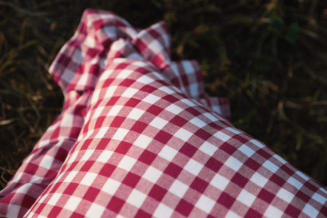 Checkered Cherry Cushion - Red