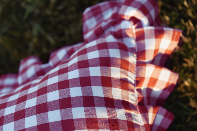Checkered Cherry Cushion - Red