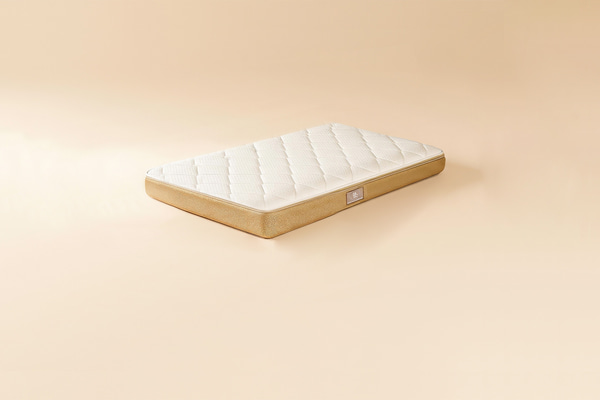 Leto Premium Foam Mattress 10 cm - 60x120